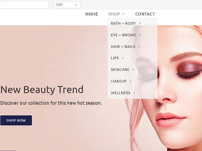 Shopify Dropshipping Health and Beauty Shop