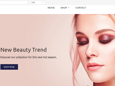 Shopify Dropshipping Health and Beauty Shop dropshipping dropshipping store ecommerce online shop online store shopify shopify store