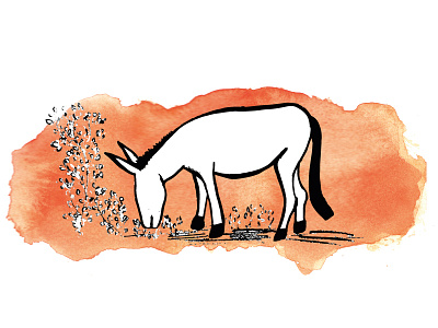 Finca-Pé illustration - Donkey contrast illustration orange watercolor wine label