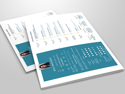 Infographic CV