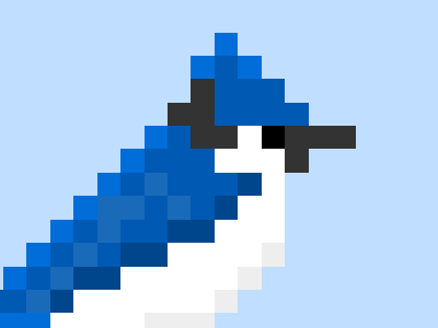 Blue Jay birds bitbirds bluejay