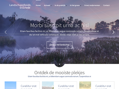 Landschapsfonds clean colors dutch interface photography ui web design