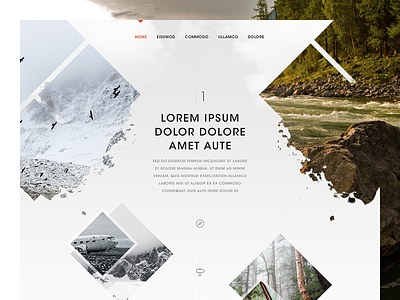 Inspired by Nature dark design fun home landing nature photography timeline website white