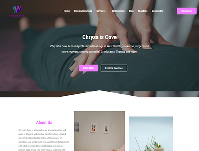 Chrysalis Cove web design website design wordpress design