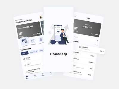 Financial accounting application app design finance mobile ui ux