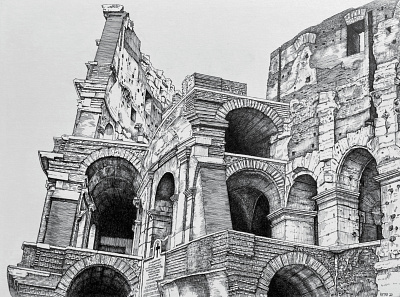 The Colosseum drawing illustration pen and ink rome sketch