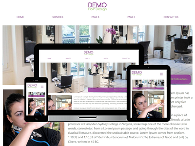 Demo Website freelance freelancer front end front end developer web design web designer website website design website designer wordpress