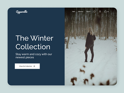 Winter Clothing Store Hero design minimal ui ux web