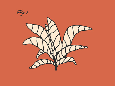Plant 001 art color design graphic design illustration logo minimal modern modern art plant plant art science