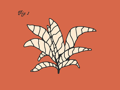 Plant 001