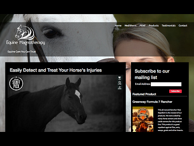 Equine Magnotherapy responsive web design wordpress