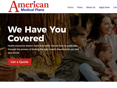 American Medical Plans website design branding web design wordpress