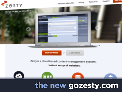 New GoZesty.com cms hero homepage startup