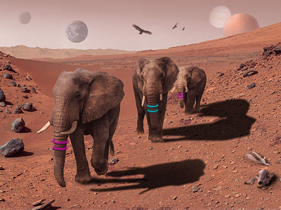 Mars Traverse art design graphic design photoshop surrealism