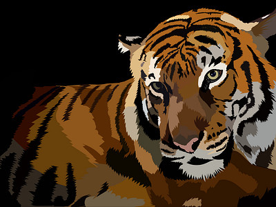 tiger adobe illustrator animal illustration portfolio poster tiger vector vectorart