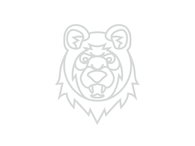 Rejected Bear