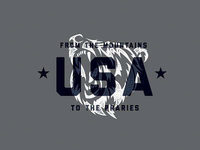 USA Bear america americana animal bear freedom illustration stippled united states usa
