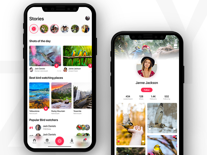 Bird Watching App by Yassine Zanina on Dribbble