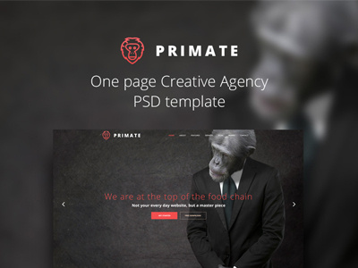 Primate design website