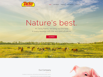 Zacky Farms design website