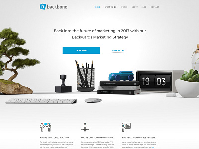 Backbone Media landing page website design