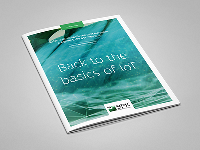Back to the basics of IoT brochure pdf print design