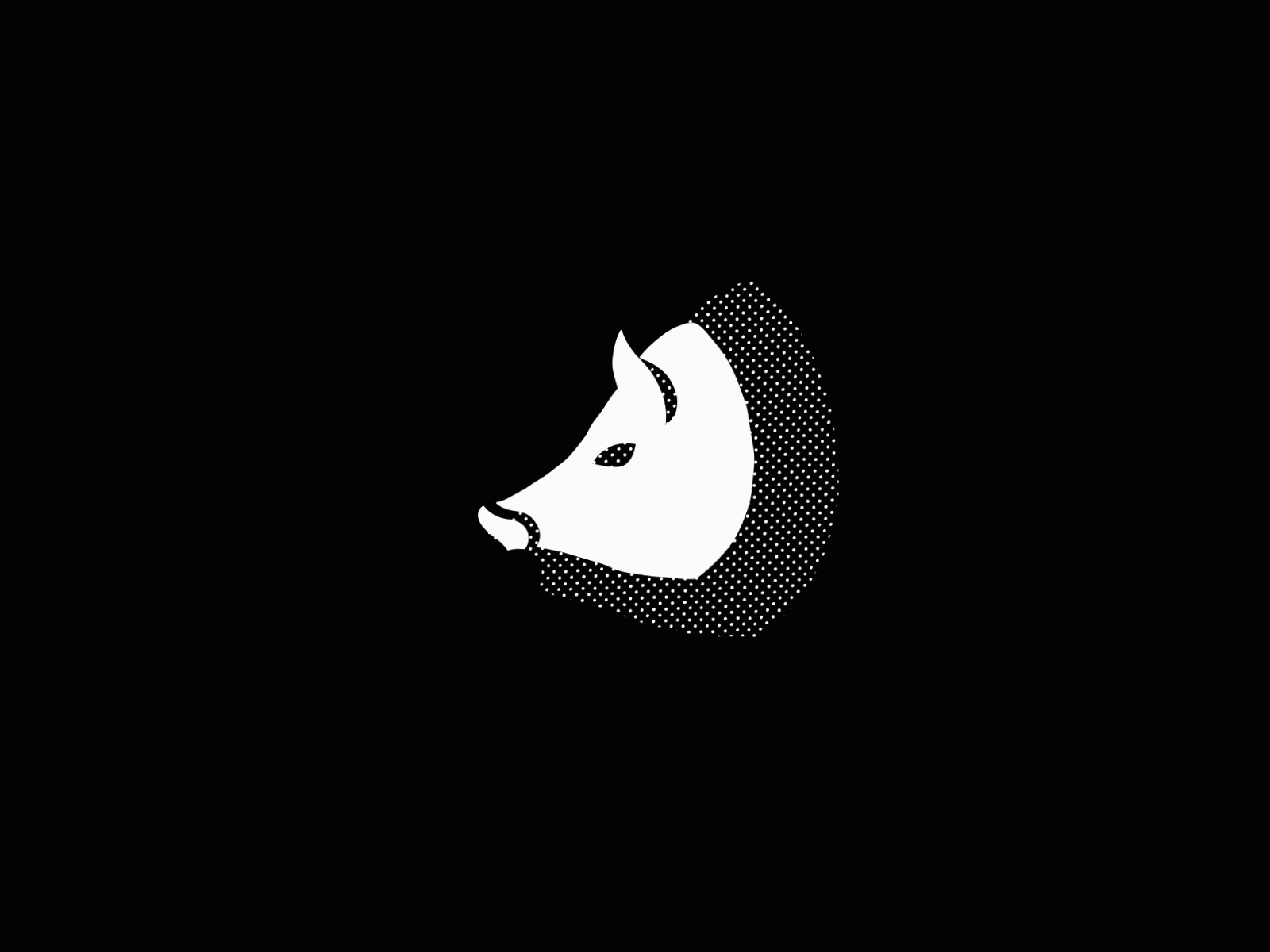 wild boar 2d animation 2danimation animal animals animate animated animated gif animation animation 2d animation after effects animation design animations gif animation logo logo animation motion motion design motion graphic motion graphics motiongraphics