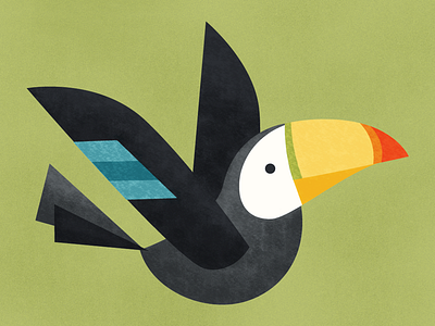 Toucan animal bird fly geometric illustration toucan wing