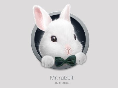 Mr. Rabbit draw icon rabbit