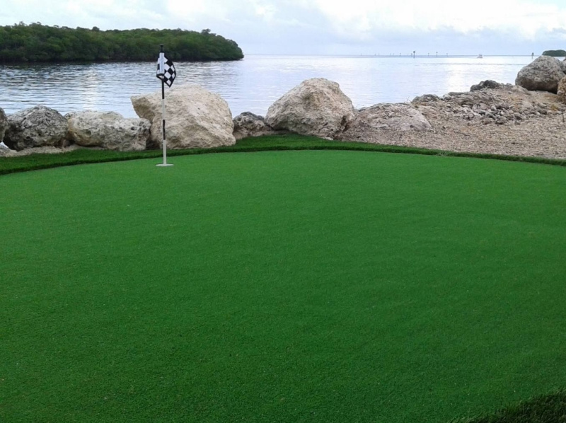 Artificial Grass Installer Fairview Shores by Artificial Grass