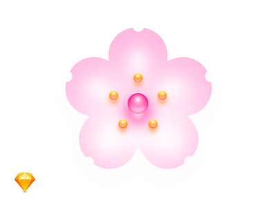 Sakura Season Open flower freebie icon illustration sakura sketch