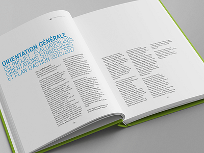 Rapport d'activités 2015 de l'association Grandir Ailleurs (03) book charity editorial editorial design fédération grandir à... grandir ailleurs graphic design trip visual design