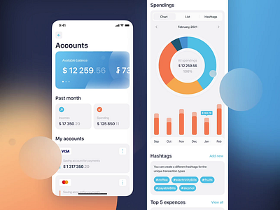 Personal financial management (PFM) App Concept banking concept draft finance light mobile