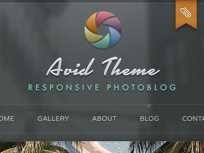 Avid Photography Theme Launch avid blog blur green navigation orange pattern photography responsive shutter texture wordpress