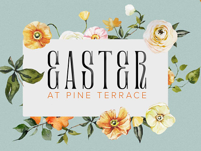 Easter Concept branding design flloral illustration typography
