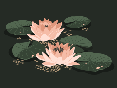Water Lily art artwork flower graphic design illustraion lily poster art poster design print print design procreate app