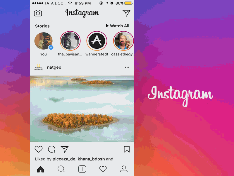 Instagram saved hashtags by Ramshid on Dribbble
