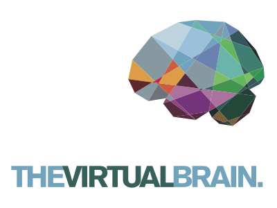 The Virtual Brain corporate identity akzidenz blue brain branding geometric green grotesk logo neurology orange purple red research science violet virtual