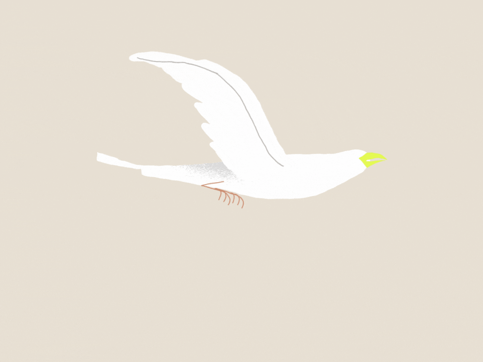 Flight cycle animal animation bird character contrast flight fly flying gif illo illustration loop motion motion graphics seagull texture