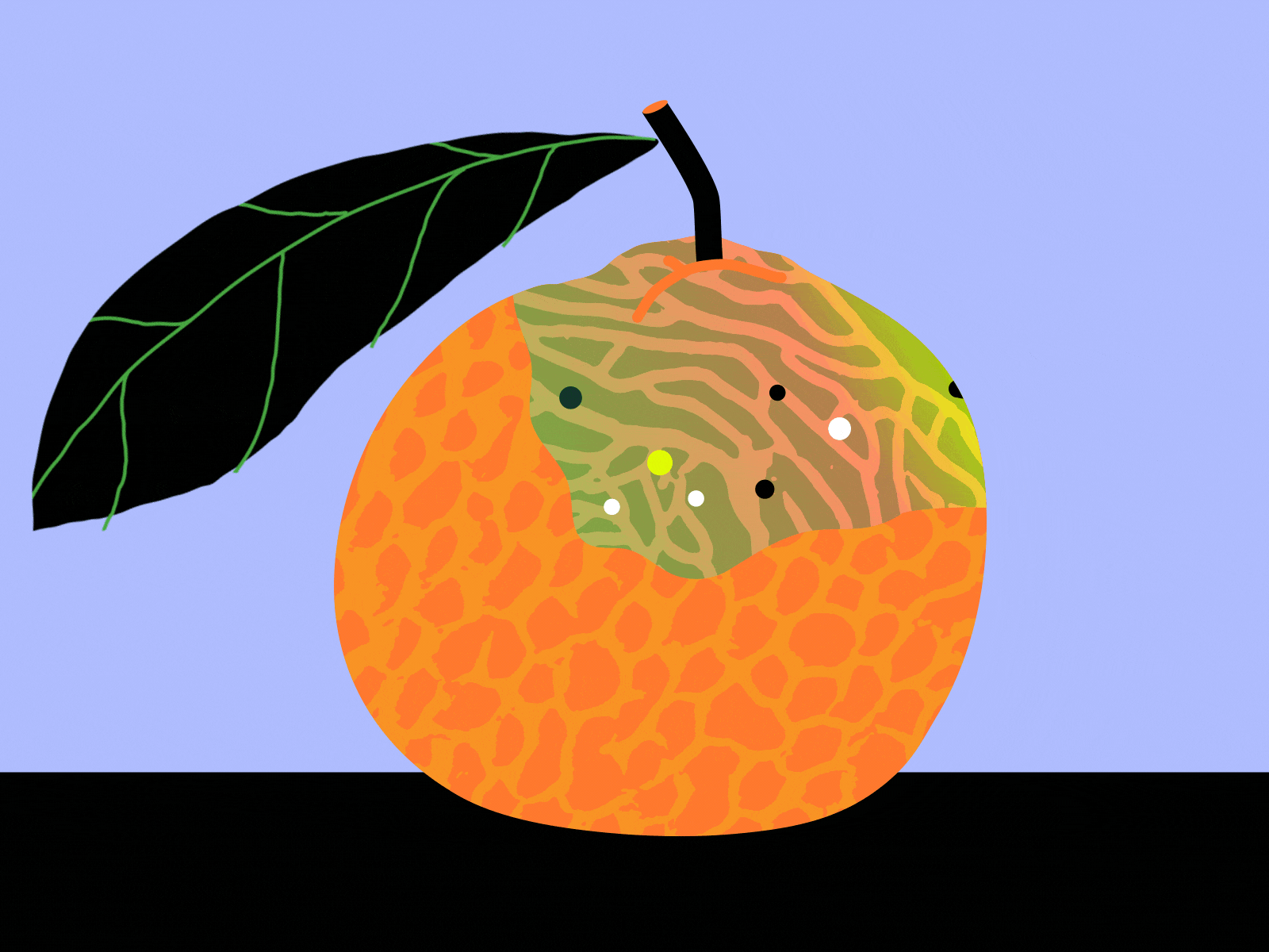 Rotten orange 🍊 2d 2d animation animation biodiversity design fungus gif illo illustration mediacal motion motion design motion graphics nature orange pannicilin pharmacy transition