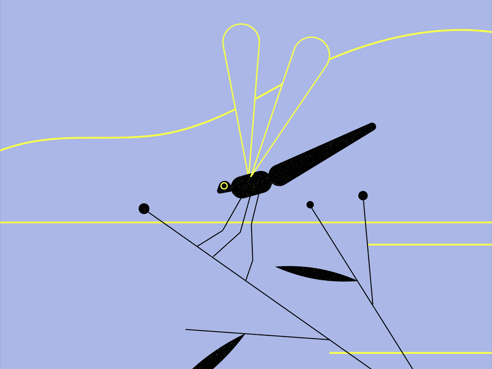 Dragonfly 🌱 2d animation animal animation design dragonfly gif illo illustration insect lake motion motion design motion graphics nature shapes sustainability