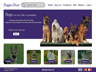 Doggies Diary design illustration ui ux