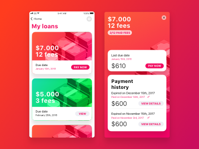 Loan manager / Hello Dribbble!