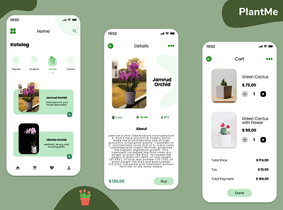 PlantMe for sure, buddy! app cactus figma green mobileapp orchid plant sculent