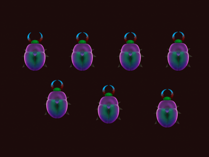 Scarabs after effects animation character animation dromp game