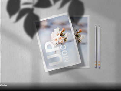 Download Free Flyer/Poster Brochure Mockup