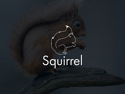 Squirrel minimal Logo app creative foodlogo graphicdesign logo logoart logomark minimal minimalist restaurant restaurantlogo unique