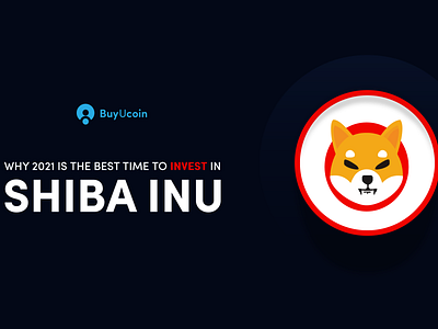Why 2021 is the best time to invest in Shiba Inu? branding cryptocurrency shiba