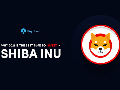 Why 2021 is the best time to invest in Shiba Inu?