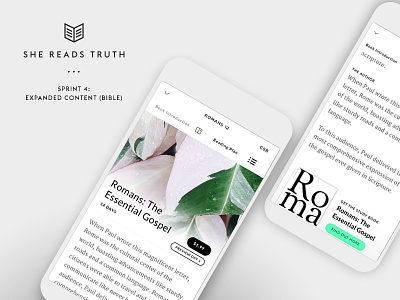 She Reads Truth v2 - Sprint 4: Expanded Content (Bible) ui tools mobile bible app